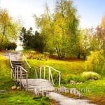 صارف اواتار