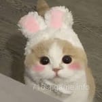 Avatar of Sultan Shah